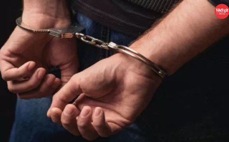 दिल्ली में बड़ा चाइल्ड ट्रैफिकिंग रैकेट का पर्दाफाश, 20 से ज्यादा नवजात बच्चों की बिक्री का खुलासा; 12 आरोपी गिरफ्तार