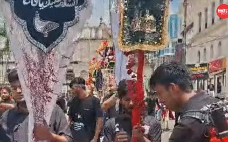 भोपाल में मुहर्रम के मातमी जुलूस निकले, करबला के संदेश के साथ शांति और इंसाफ की अपील वाले पोस्टर रहे आकर्षण का केंद्र