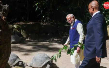 सेशेल्स पहुंचे PM मोदी, राष्ट्रपति पैट्रिक हर्मिनी संग एल्डाब्रा कछुओं को खिलाईं पत्तियां; 50वें राष्ट्रीय दिवस समारोह में होंगे मुख्य अतिथि