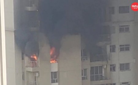 नोएडा की द अरण्य सोसायटी में भीषण आग: सेक्टर-119 के फ्लैट में लगी आग से मची अफरा-तफरी, 6 दमकल गाड़ियों ने पाया काबू; मुख्यमंत्री योगी ने दिए तत्काल कार्रवाई के निर्देश