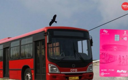 दिल्ली DTC में 1 जुलाई से खत्म होगी पिंक टिकट व्यवस्था, महिलाओं की मुफ्त यात्रा रहेगी जारी; अब पिंक कार्ड होगा अनिवार्य