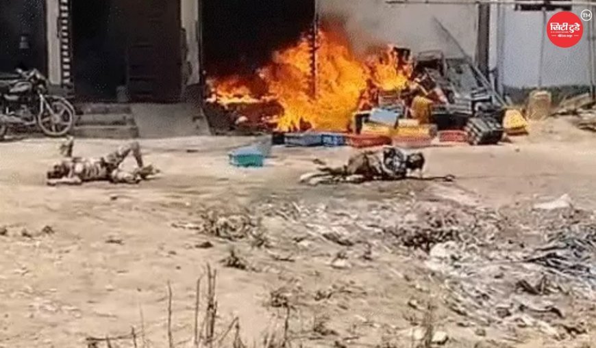 जयपुर में पटाखा गोदाम में भीषण आग, बच्चे समेत 4 की दर्दनाक मौत, रिहायशी इलाके में मचा हाहाकार