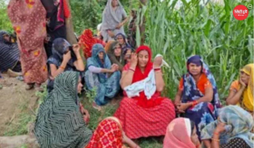 150 करोड़ की 130 बीघा जमीन पर सरकार का कब्जा तय, 42 साल पुराने विवाद पर कोर्ट का बड़ा फैसला