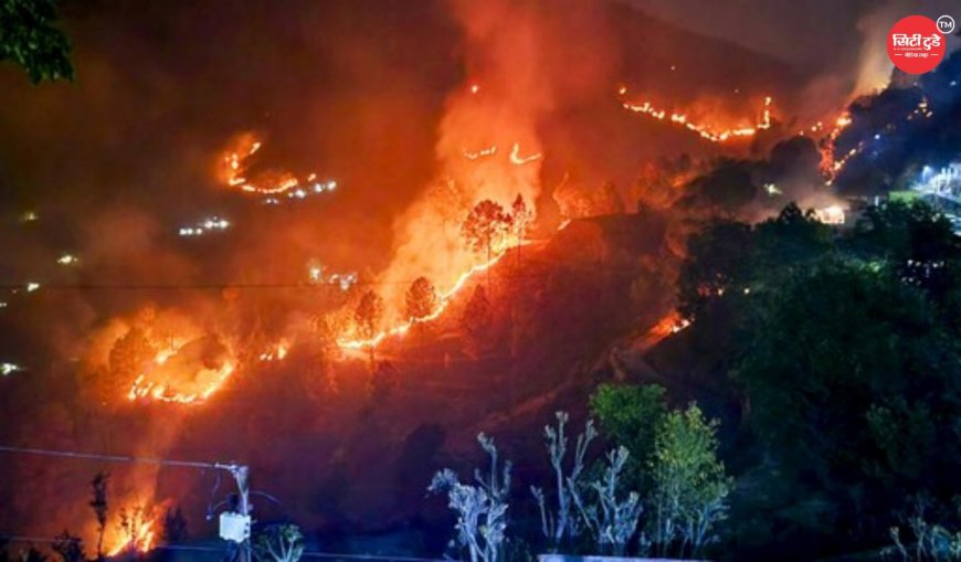 उत्तराखंड के जंगलों में आग का कहर पिछले साल से 90% ज्यादा नुकसान, 533 हेक्टेयर से अधिक वन क्षेत्र राख