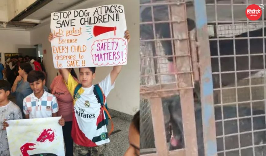 फरीदाबाद में आवारा कुत्तों के आतंक के खिलाफ बच्चों का प्रदर्शन, बैनर-पोस्टर लेकर निकले मासूम; 10 वर्षीय बच्चे पर हमले के बाद बढ़ा आक्रोश
