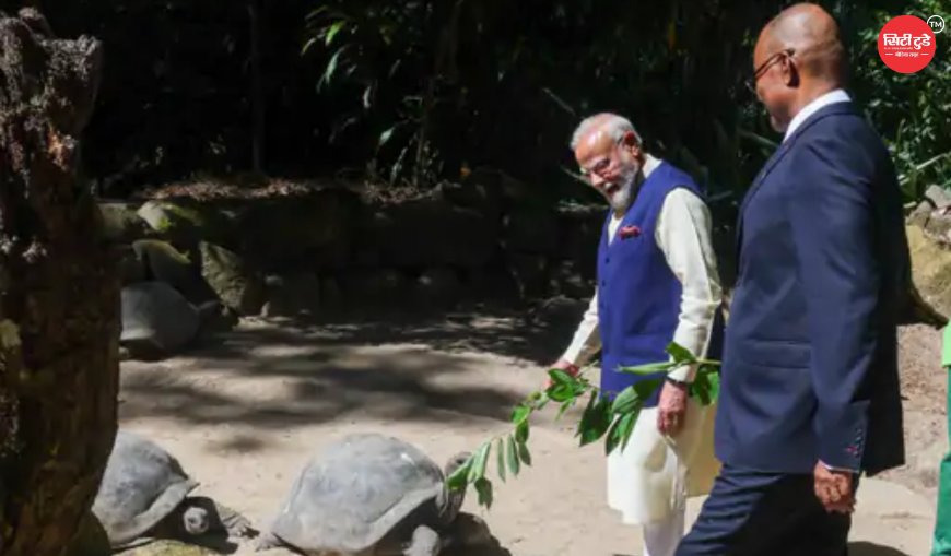 सेशेल्स पहुंचे PM मोदी, राष्ट्रपति पैट्रिक हर्मिनी संग एल्डाब्रा कछुओं को खिलाईं पत्तियां; 50वें राष्ट्रीय दिवस समारोह में होंगे मुख्य अतिथि