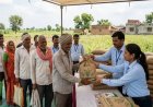 यूपी में बीज वितरण व्यवस्था होगी पूरी तरह डिजिटल, 1 अगस्त से 'साथी पोर्टल' के जरिए मिलेगा बीज; पंजीकरण नहीं कराने वाले विक्रेताओं का लाइसेंस होगा निरस्त
