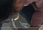 भोपाल की निजी यूनिवर्सिटी में ड्रग्स नेटवर्क का बड़ा खुलासा: सुरक्षा गार्ड ही बने सप्लायर, राजस्थान से कैंपस तक पहुंच रही स्मैक; जांच में सामने आई चौंकाने वाली कड़ियां
