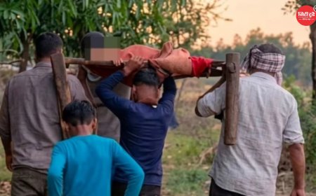 रीवा में विकास की हकीकत उजागर: सड़क नहीं होने से 2 किमी खाट पर ढोकर ले जाई गई महिला, एंबुलेंस नहीं पहुंची, अस्पताल पहुंचने से पहले मौत
