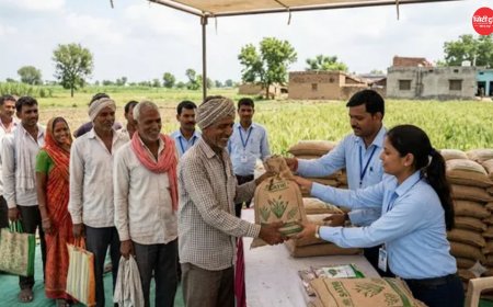 यूपी में बीज वितरण व्यवस्था होगी पूरी तरह डिजिटल, 1 अगस्त से 'साथी पोर्टल' के जरिए मिलेगा बीज; पंजीकरण नहीं कराने वाले विक्रेताओं का लाइसेंस होगा निरस्त