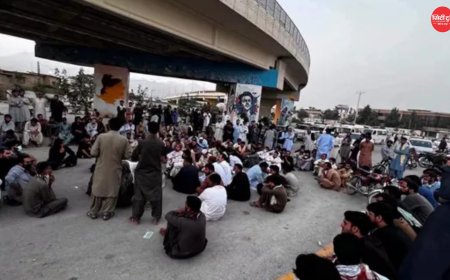 PoK में प्रदर्शनकारियों पर फायरिंग से भड़की हिंसा: रावलकोट में 2 की मौत, 50 से अधिक घायल; पाकिस्तान सरकार के खिलाफ आंदोलन हुआ और उग्र