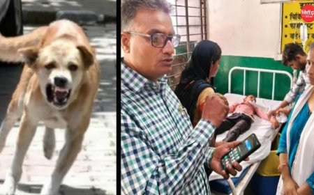 चित्रकूट के सरकारी स्कूल में घुसा संदिग्ध पागल कुत्ता, दो मासूमों पर हमला; बच्चों ने क्लास का दरवाजा बंद कर बचाई जान