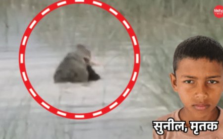 बहराइच में दर्दनाक हादसा: 12 साल के बच्चे को मगरमच्छ ने बनाया शिकार, चाचा और ग्रामीण बचाने की कोशिश करते रहे, 5 घंटे बाद मिला शव