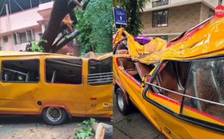 मुंबई पेड़ हादसा: 11 साल के बच्चे की मौत पर मेयर ने फाड़ी जांच रिपोर्ट, दोबारा जांच के आदेश; ठेकेदारों पर उठे सवाल