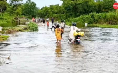 कुशीनगर में नारायणी नदी का बढ़ा कहर, बांध और ठोकरों पर बढ़ा दबाव; कई गांव पानी से घिरे, दियारा क्षेत्र में आवागमन प्रभावित