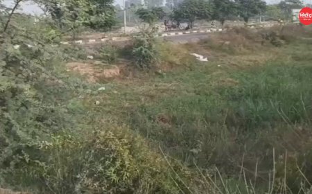 मोहाली एयरोट्रोपोलिस परियोजना: 8 गांवों की जमीन अधिग्रहण का अवॉर्ड जारी, किसानों को मिलेगा ₹23,457 करोड़ से ज्यादा मुआवजा