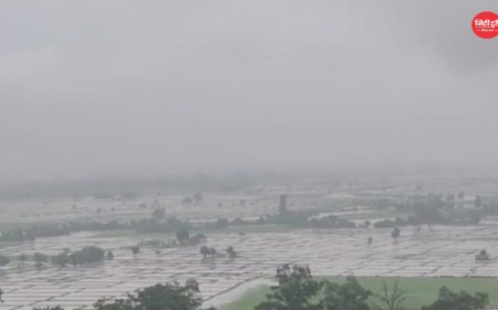 MP Weather Update: मध्य प्रदेश में तीन सिस्टम एक साथ सक्रिय, तीसरे दिन भी झमाझम बारिश; सिवनी में सबसे ज्यादा 4.9 इंच पानी, 17 जिलों में भारी से अति भारी बारिश का अलर्ट