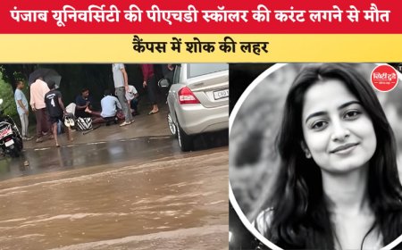 पंजाब यूनिवर्सिटी में करंट लगने से पीएचडी स्कॉलर की मौत, कैंपस में भारी प्रदर्शन; छात्रों ने VC के इस्तीफे की मांग उठाई