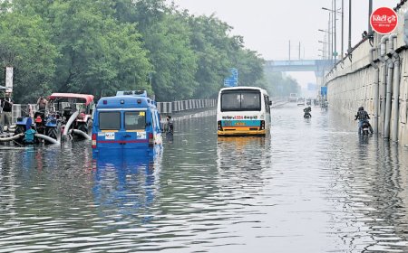 देशभर में बारिश का कहर: दिल्ली में मेट्रो स्टेशन तक भरे पानी से, गुजरात में टाटा प्लांट प्रभावित; उत्तराखंड में चारधाम यात्रा रोकी गई