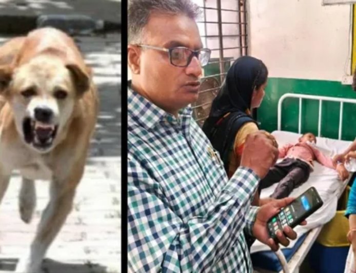 चित्रकूट के सरकारी स्कूल में घुसा संदिग्ध पागल कुत्ता, दो मासूमों पर हमला; बच्चों ने क्लास का दरवाजा बंद कर बचाई जान
