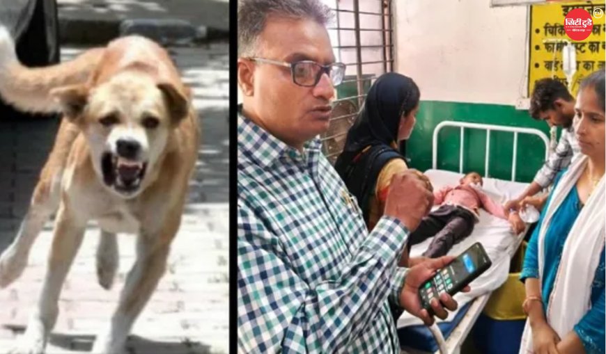 चित्रकूट के सरकारी स्कूल में घुसा संदिग्ध पागल कुत्ता, दो मासूमों पर हमला; बच्चों ने क्लास का दरवाजा बंद कर बचाई जान