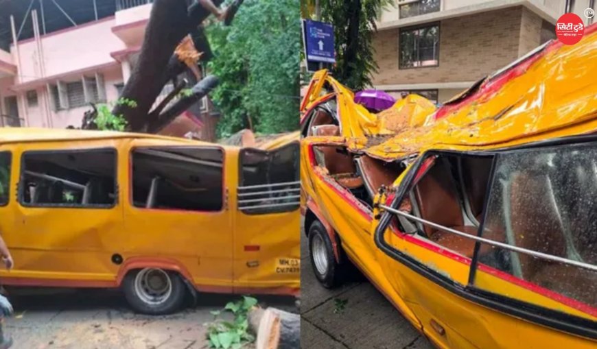 मुंबई पेड़ हादसा: 11 साल के बच्चे की मौत पर मेयर ने फाड़ी जांच रिपोर्ट, दोबारा जांच के आदेश; ठेकेदारों पर उठे सवाल