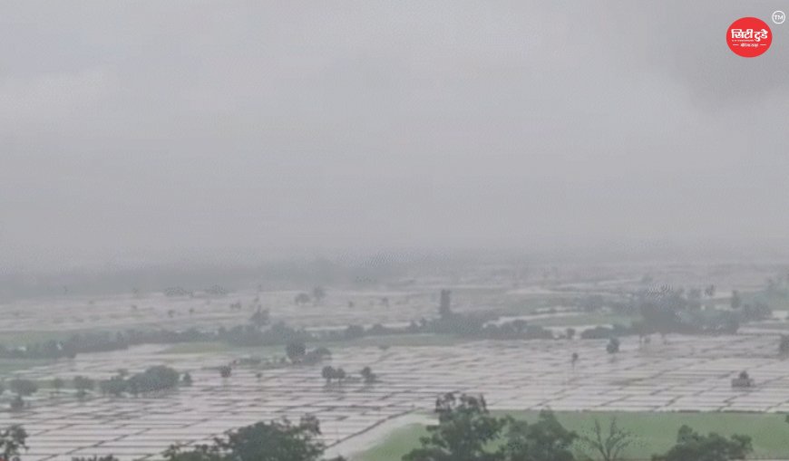 MP Weather Update: मध्य प्रदेश में तीन सिस्टम एक साथ सक्रिय, तीसरे दिन भी झमाझम बारिश; सिवनी में सबसे ज्यादा 4.9 इंच पानी, 17 जिलों में भारी से अति भारी बारिश का अलर्ट