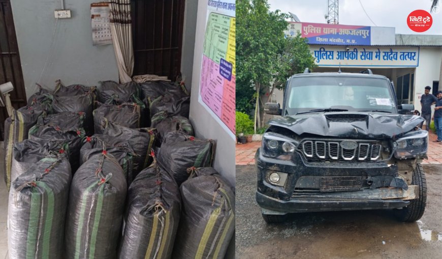 मंदसौर पुलिस की बड़ी कार्रवाई: स्कॉर्पियो से 465 किलो डोडाचूरा बरामद, 21 लाख रुपये से ज्यादा की संपत्ति जब्त; तस्कर फरार