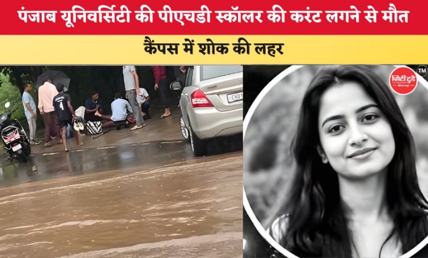 पंजाब यूनिवर्सिटी में करंट लगने से पीएचडी स्कॉलर की मौत, कैंपस में भारी प्रदर्शन; छात्रों ने VC के इस्तीफे की मांग उठाई