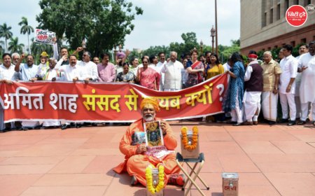 संसद परिसर में विरोध प्रदर्शन के बाद पप्पू यादव पर शिकायत, संसदीय मर्यादा पर भी उठा सवाल