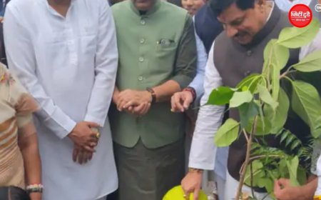 जबलपुर में मियावाकी तकनीक से 11 लाख पौधों का महाअभियान शुरू: CM मोहन यादव ने किया शुभारंभ, जल संरक्षण पर दिया जोर