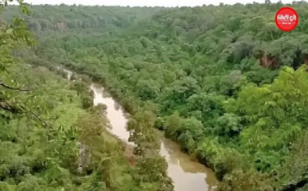 MP में माइनिंग और इंफ्रास्ट्रक्चर से घटा 371 वर्ग किमी जंगल, देश में सबसे ज्यादा वन क्षेत्र खोने वाला राज्य बना मध्य प्रदेश