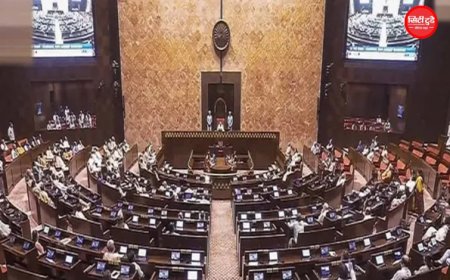 जन्म और मृत्यु प्रमाणपत्र के नियम बदलेंगे: राज्यसभा से जन्म-मृत्यु पंजीकरण संशोधन बिल 2026 पास, देरी से रजिस्ट्रेशन पर बढ़ेगी कानूनी प्रक्रिया