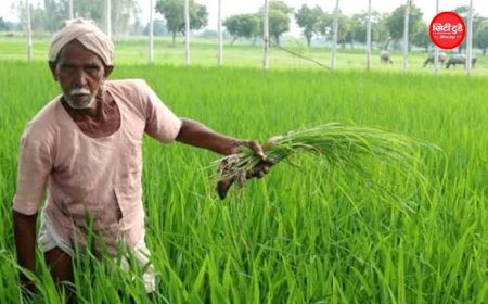 खरीफ फसलों पर नई सलाह: किसानों को कम पानी वाली किस्में अपनाने की सलाह