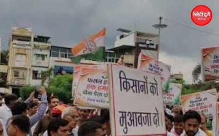फसल बीमा राशि से नाराज मंदसौर के किसान, सड़कों पर उतरे अन्नदाता; उचित मुआवजे की मांग को लेकर प्रदर्शन