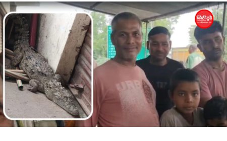 भिंड में अंडे की दुकान के बाहर मिला मगरमच्छ का बच्चा, वन विभाग ने किया रेस्क्यू