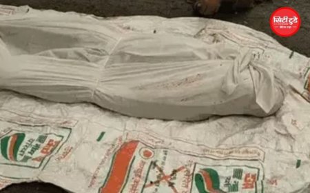 भाभी को परेशान करने वाले युवक की चाकू मारकर हत्या, देवर ने किए 15 वार; रतलाम में खौफनाक वारदात