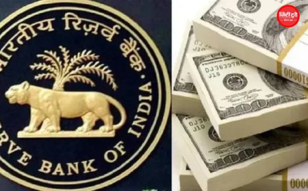 भारत के विदेशी मुद्रा भंडार में बड़ा उछाल: एक हफ्ते में 10.5 अरब डॉलर की बढ़ोतरी, 692.86 अरब डॉलर पर पहुंचा खजाना