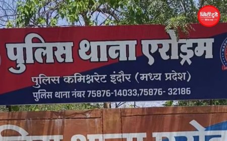 इंस्टाग्राम पर थाईलैंड ट्रिप का ऑफर देख बुकिंग, एयरपोर्ट पहुंची तो फर्जी निकला टिकट; इंदौर में युवती से 36 हजार की साइबर ठगी