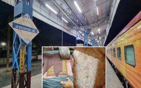 रतलाम में DRI की बड़ी कार्रवाई: ट्रॉली बैग में छिपाकर ले जा रही थी 1.6 करोड़ की ड्रग, नाइजीरियन महिला गिरफ्तार