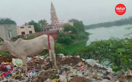 भिवानी के तिगड़ाना में तालाब सौंदर्यीकरण पर उठे सवाल, उद्घाटन के बाद भी जमीन पर नहीं दिखी ‘खूबसूरती’!