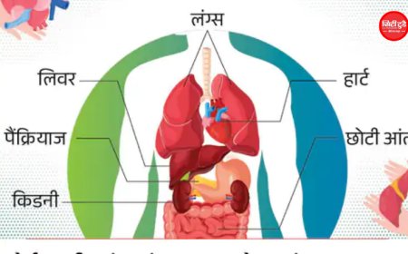 विश्व अंगदान दिवस 2026: एक व्यक्ति के अंग कई जिंदगियां बचा सकते हैं, भारत में बढ़ रही ट्रांसप्लांट की जरूरत; जानें अंगदान से जुड़े हर सवाल का जवाब