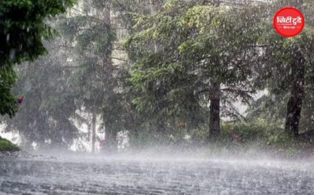 MP में आज फिर तेज बारिश का दौर: जबलपुर-रीवा-शहडोल और सागर संभाग में अलर्ट, 12 जिलों में 4 इंच तक बारिश