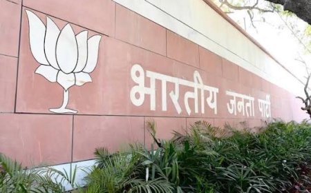 BJP की नई राष्ट्रीय टीम में MP से नितिन नवीन और हिमाद्री सिंह को जगह, मध्य प्रदेश का बढ़ा कद