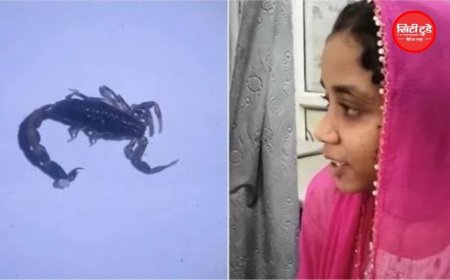 महू में 15 साल की लड़की के कान में घुसा बिच्छू, तेज दर्द होने पर डॉक्टरों ने निकाला बाहर
