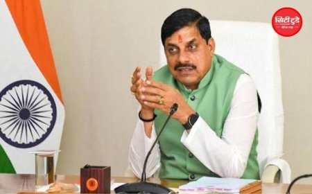 धार में 2 नई इंडस्ट्री की शुरुआत, 30 हजार से ज्यादा रोजगार के अवसर; CM मोहन यादव बोले- युवाओं के लिए नए दौर की शुरुआत