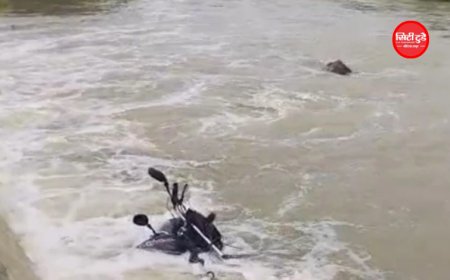 सतना में तेज बहाव का कहर: बाइक समेत नाले में बहे तीन लोग, दो तैरकर निकले, एक की मौत