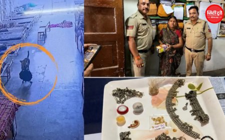 मंदसौर जिला अस्पताल में ‘चोरी’ का हैरान करने वाला मामला, 4 लाख के जेवर वाला बैग कुत्ता मुंह में दबाकर ले गया; CCTV से खुला राज