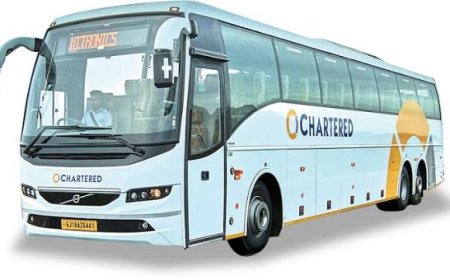 MP News : रक्षाबंधन पर महिलाओं को AICTSL का तोहफा, 48 घंटे फ्री बस सफर; इंदौर से 7 शहरों के रूट शामिल