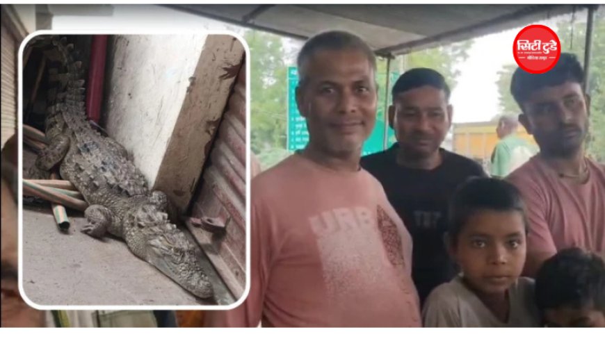 भिंड में अंडे की दुकान के बाहर मिला मगरमच्छ का बच्चा, वन विभाग ने किया रेस्क्यू